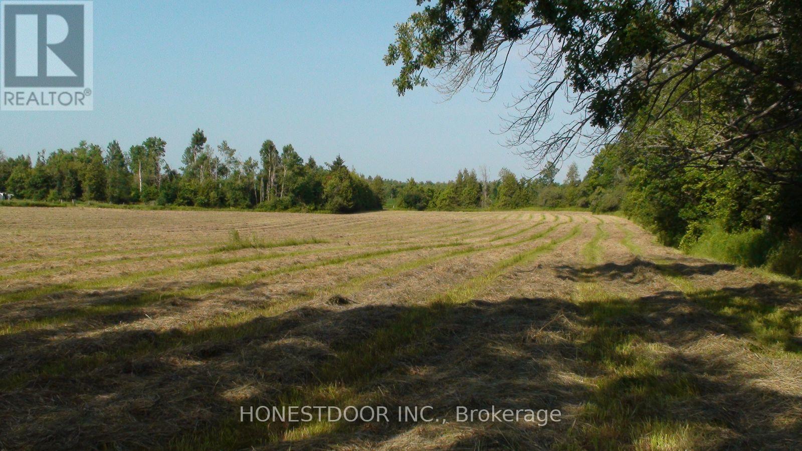 2349 Settlers Line Property Photo 23
