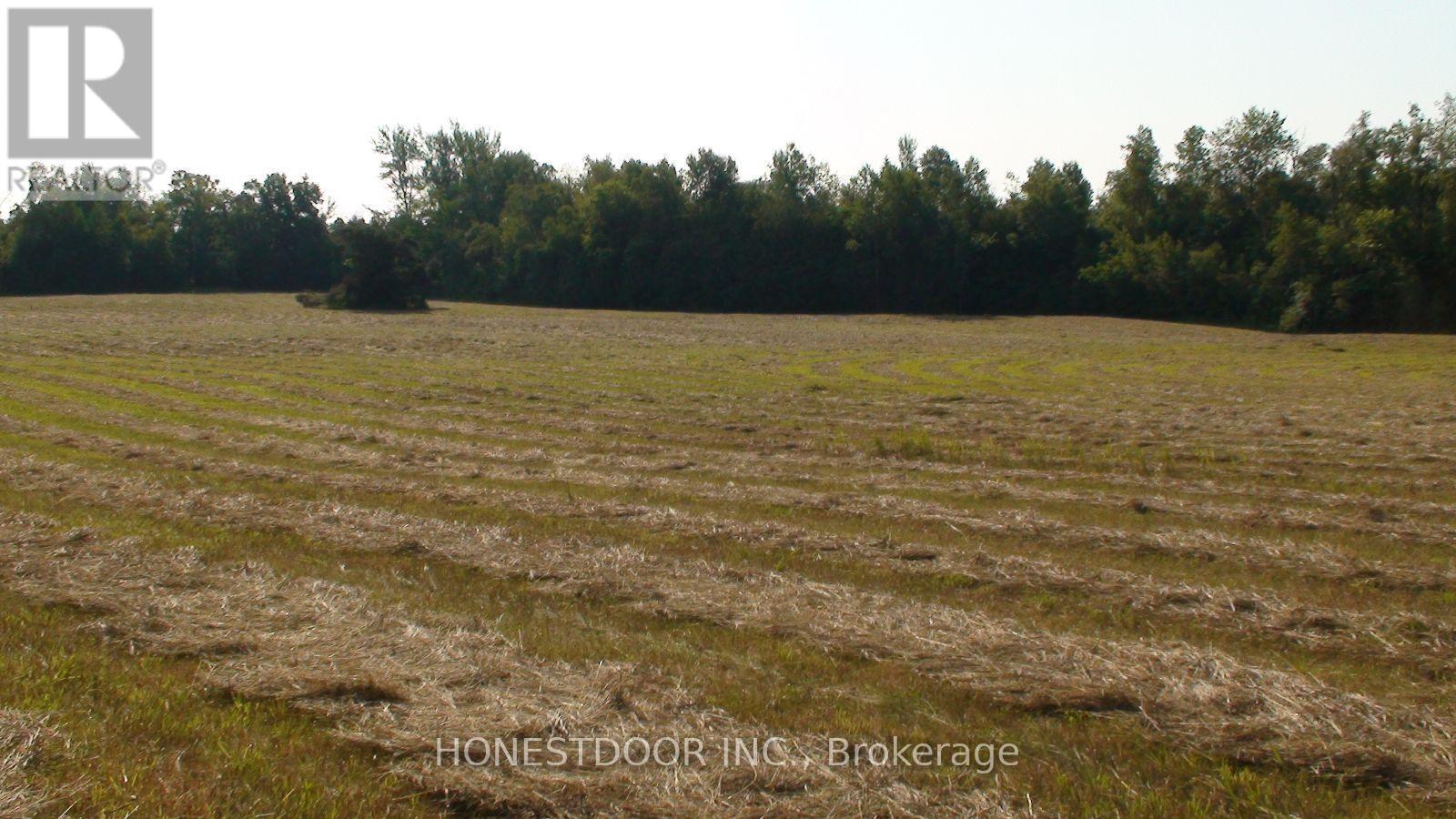 2349 Settlers Line Property Photo 24