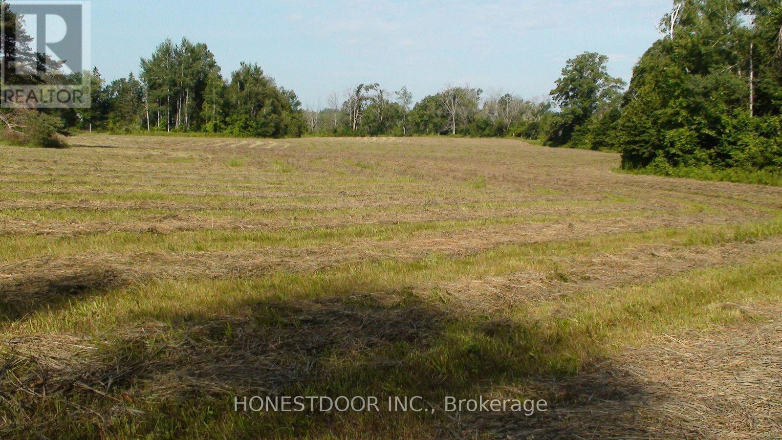 2349 Settlers Line Property Photo 25