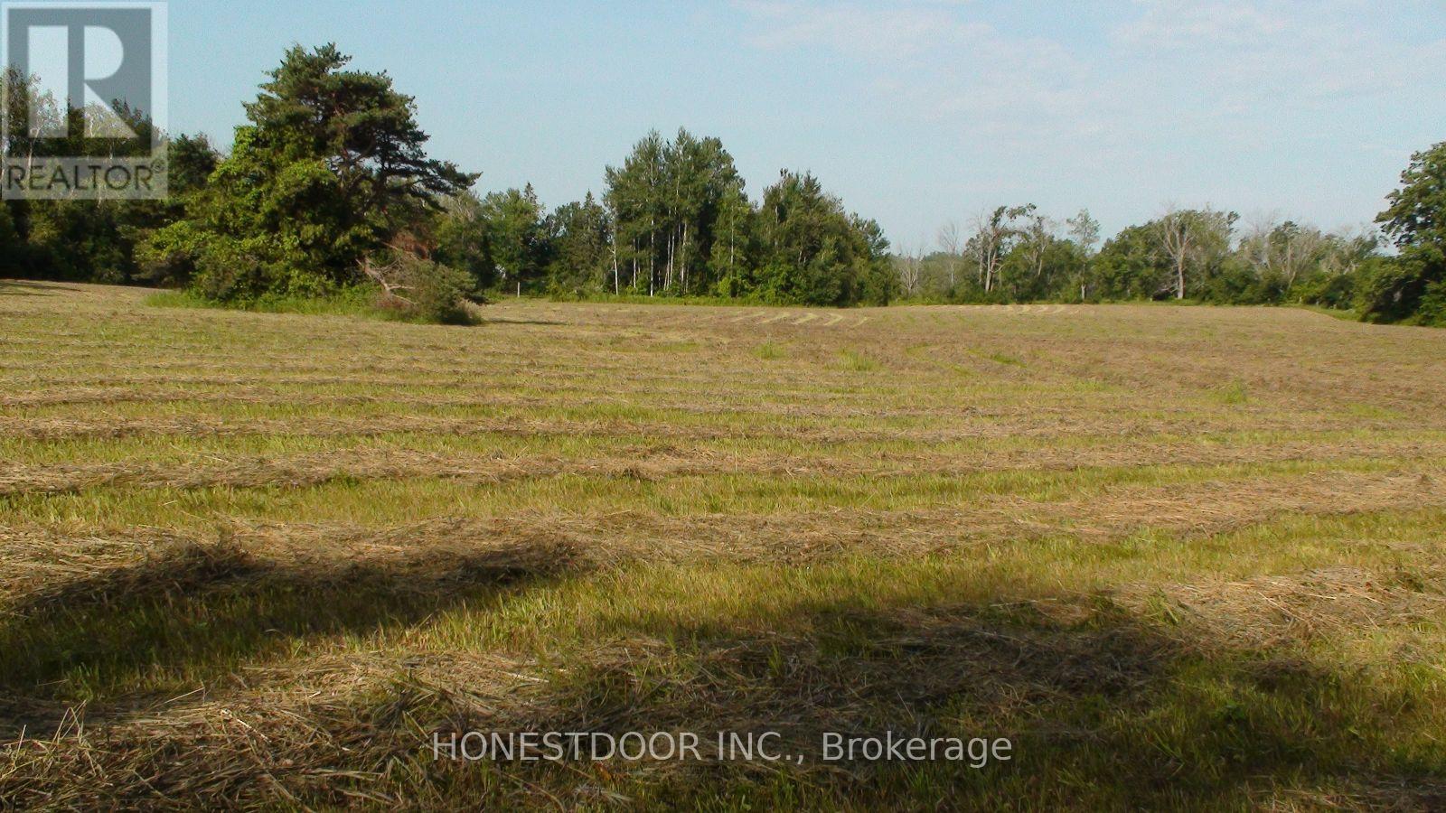 2349 Settlers Line Property Photo 26