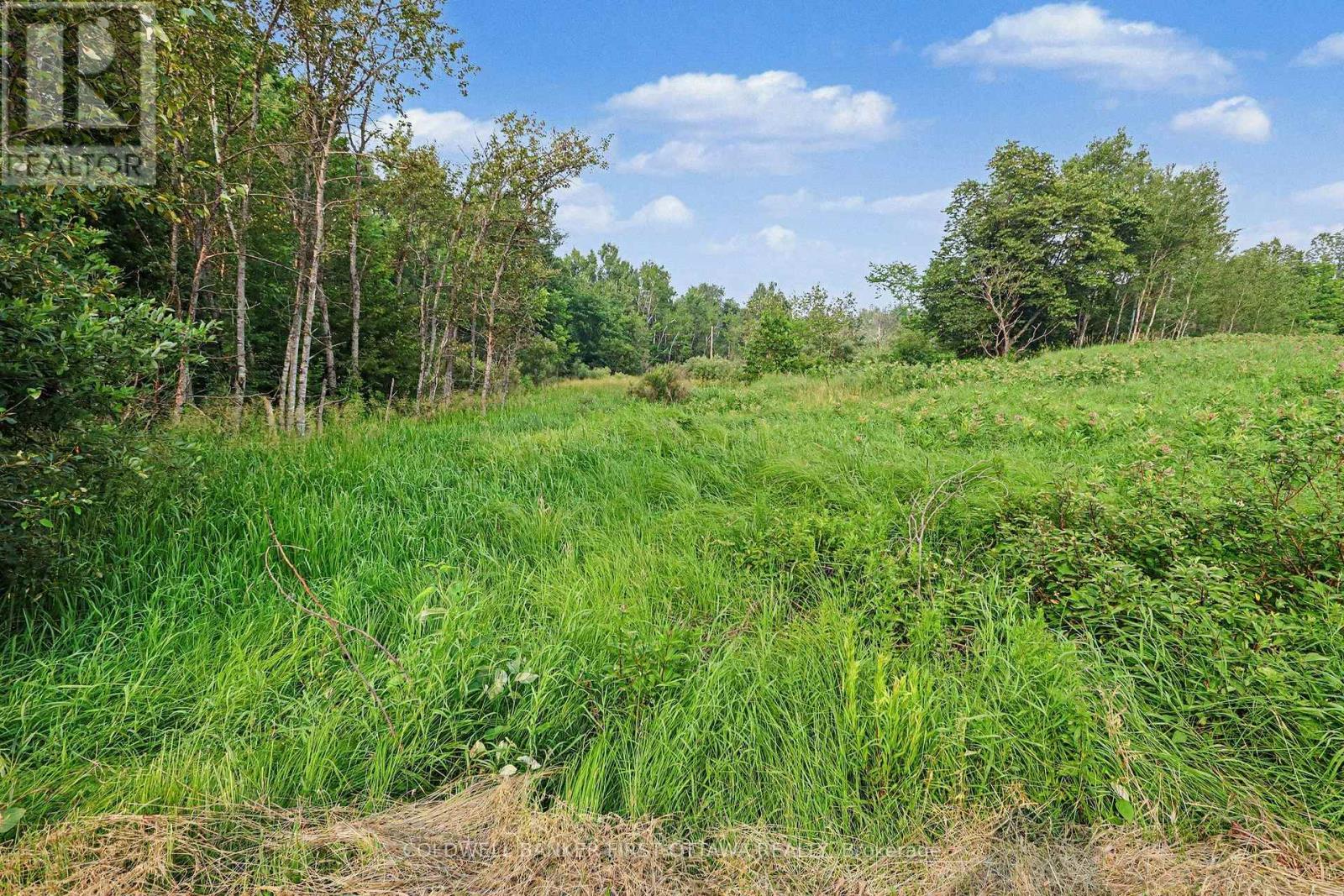 0 Armstrong Line Property Photo 11