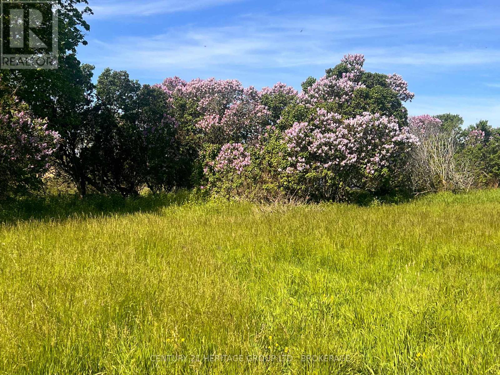 Lot 17 South Shore Road Property Photo 1