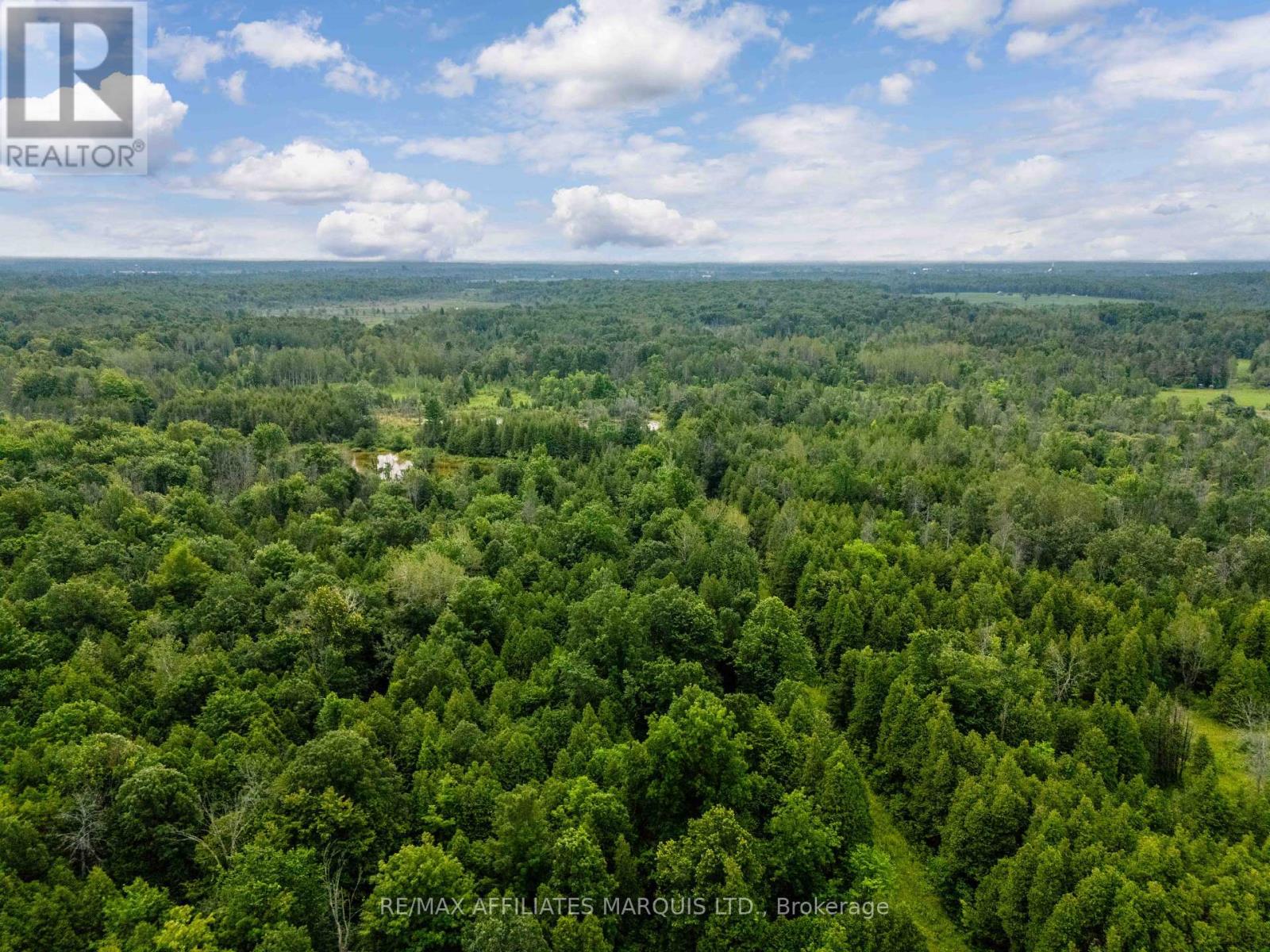 17588 Mcphail Road Property Photo 7