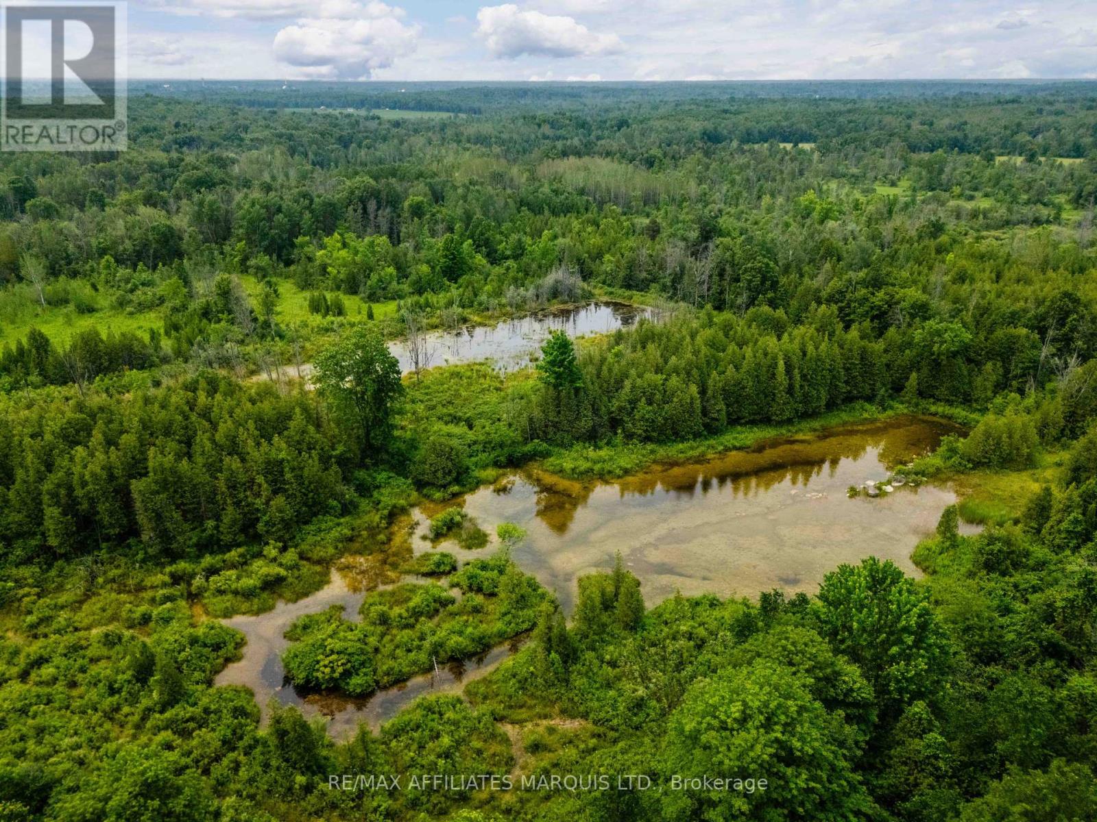 17588 Mcphail Road Property Photo 8