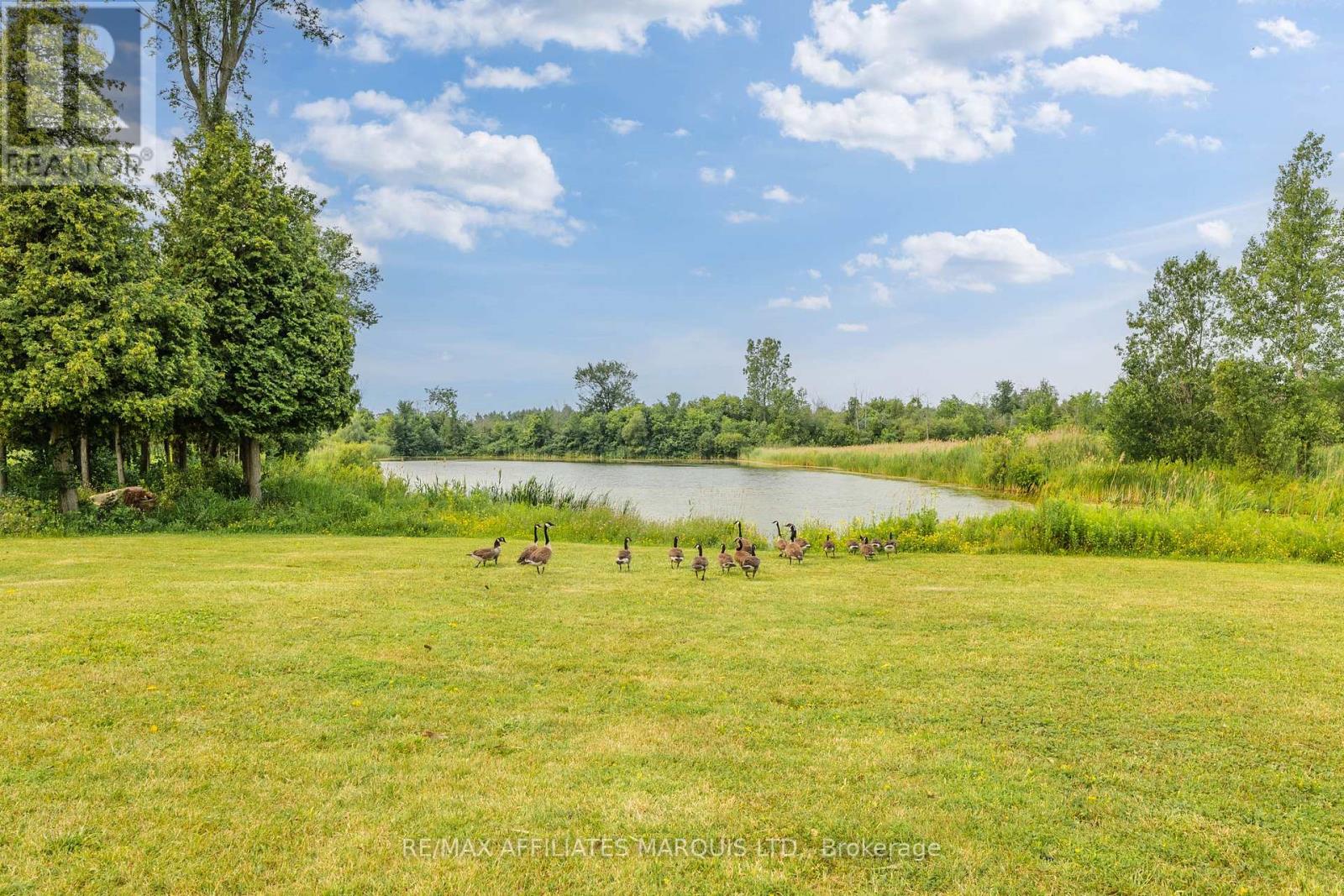 17588 Mcphail Road Property Photo 15