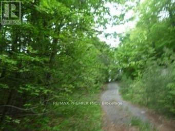 00000 Penyck Lane Property Photo 4