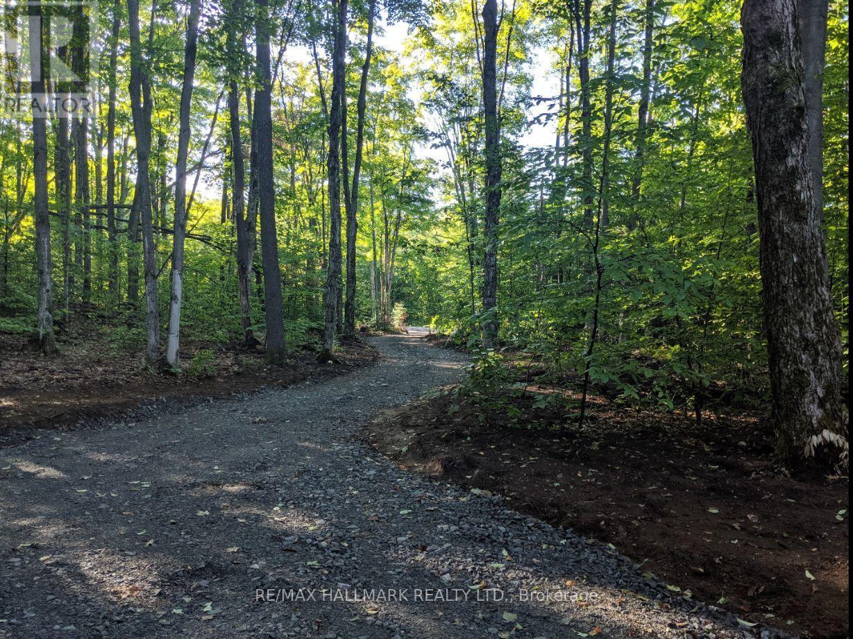 458 White House Road Property Photo 1