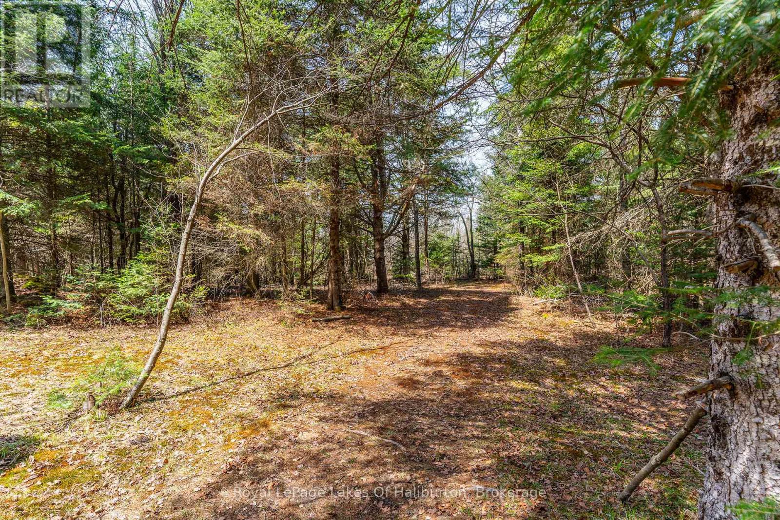 1033 Bayberry Lane Property Photo 40