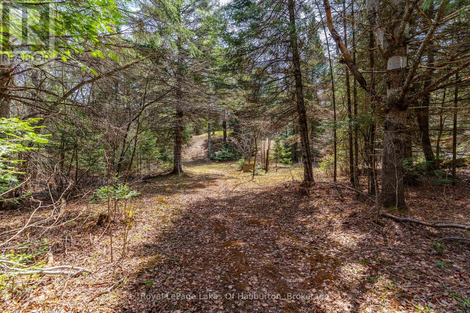 1033 Bayberry Lane Property Photo 41