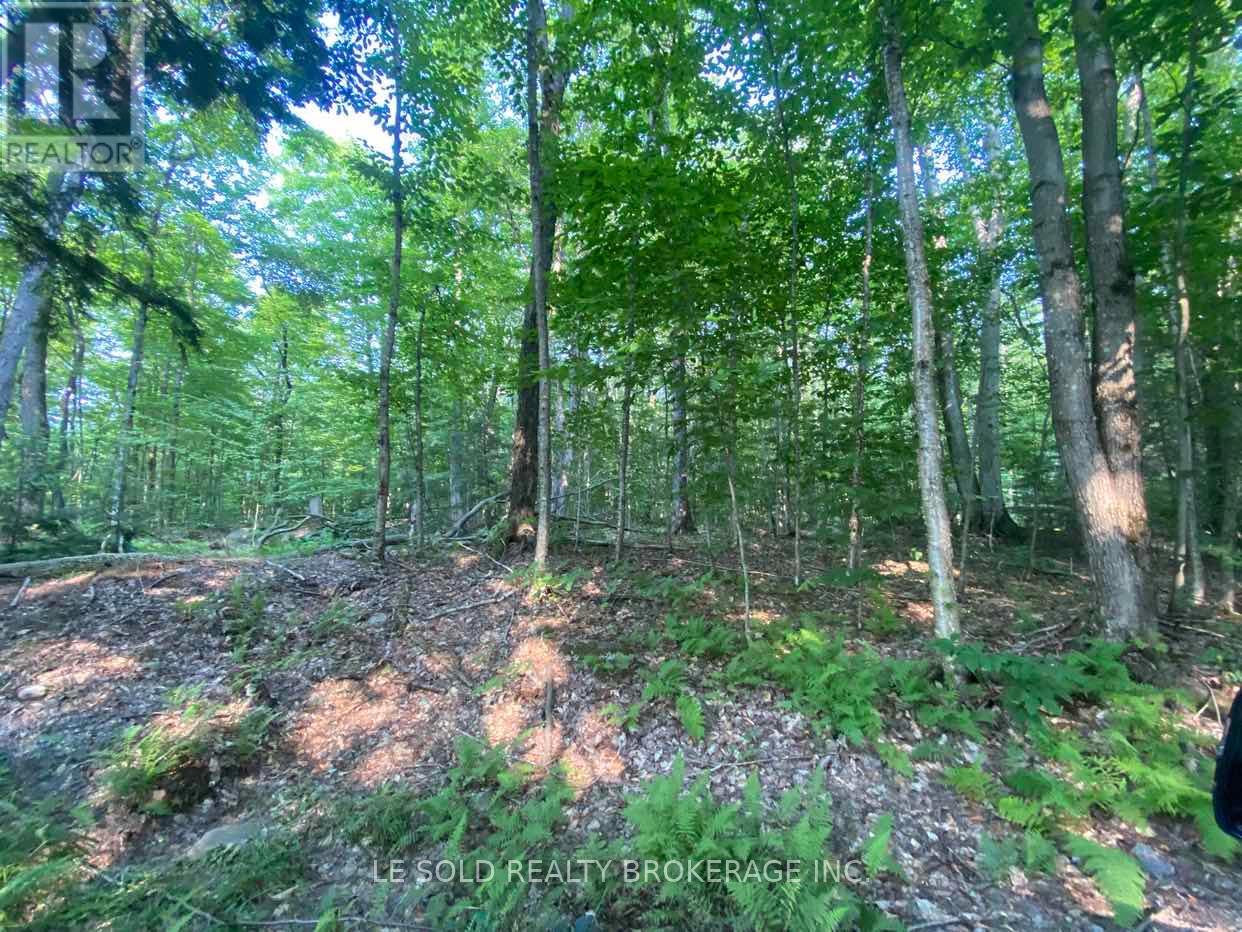 Lot # 7 - 1310 Camel Lake Road Property Photo 1