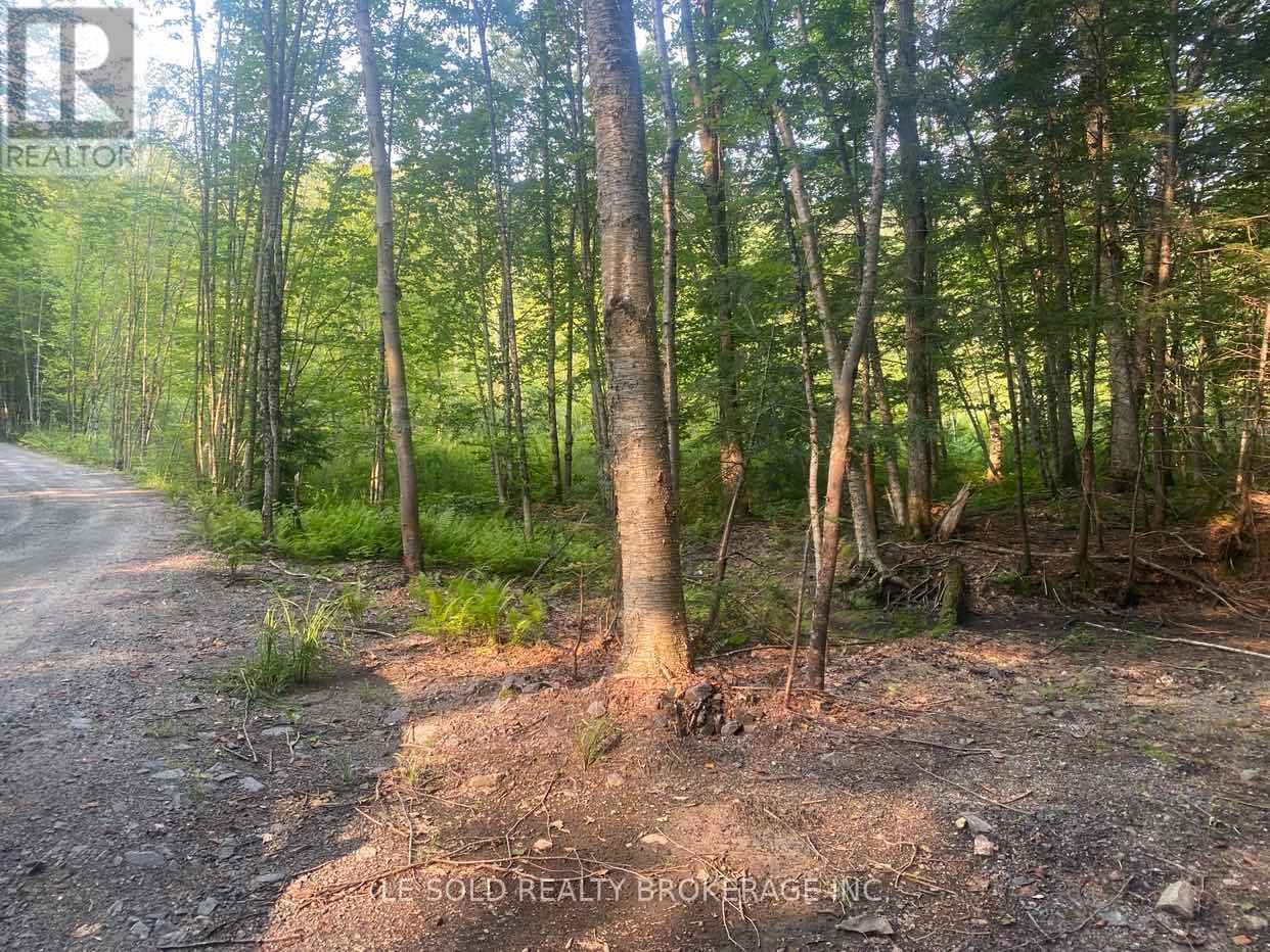 Lot # 7 - 1310 Camel Lake Road Property Photo 2