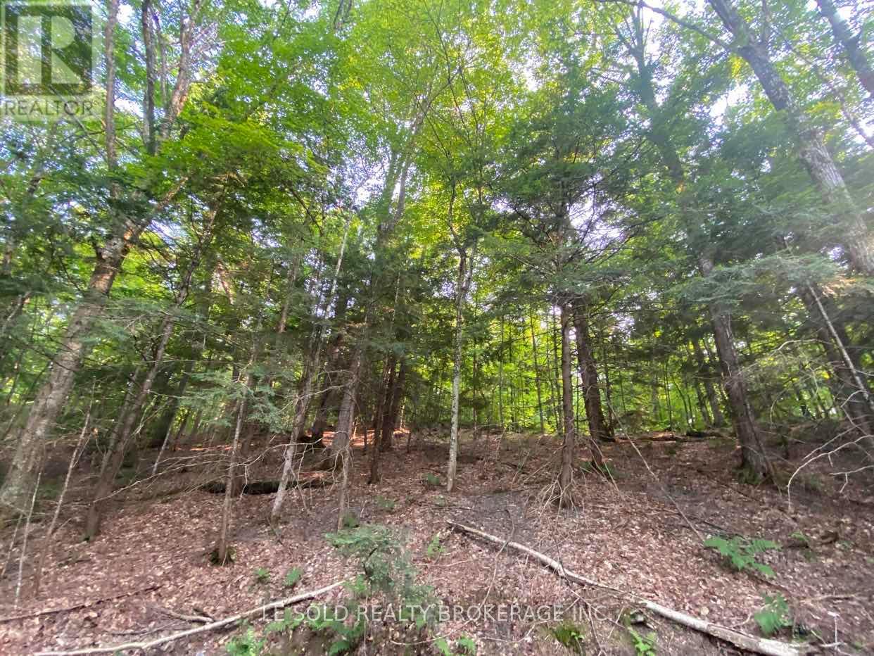Lot # 7 - 1310 Camel Lake Road Property Photo 3