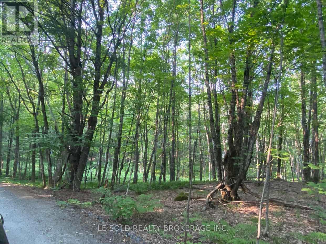 Lot # 7 - 1310 Camel Lake Road Property Photo 4
