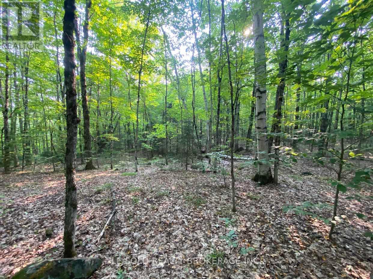 Lot # 7 - 1310 Camel Lake Road Property Photo 5