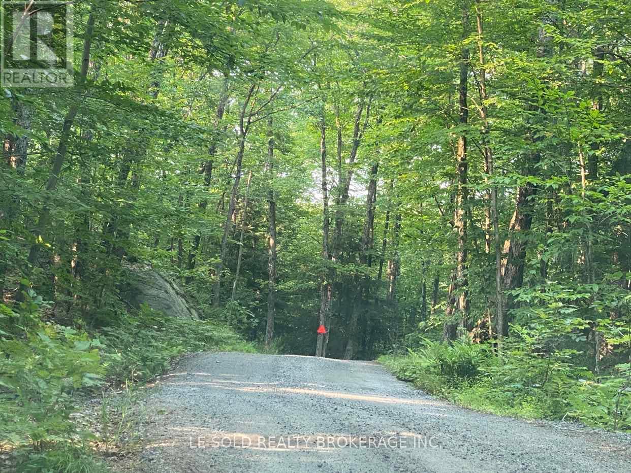 Lot # 7 - 1310 Camel Lake Road Property Photo 6