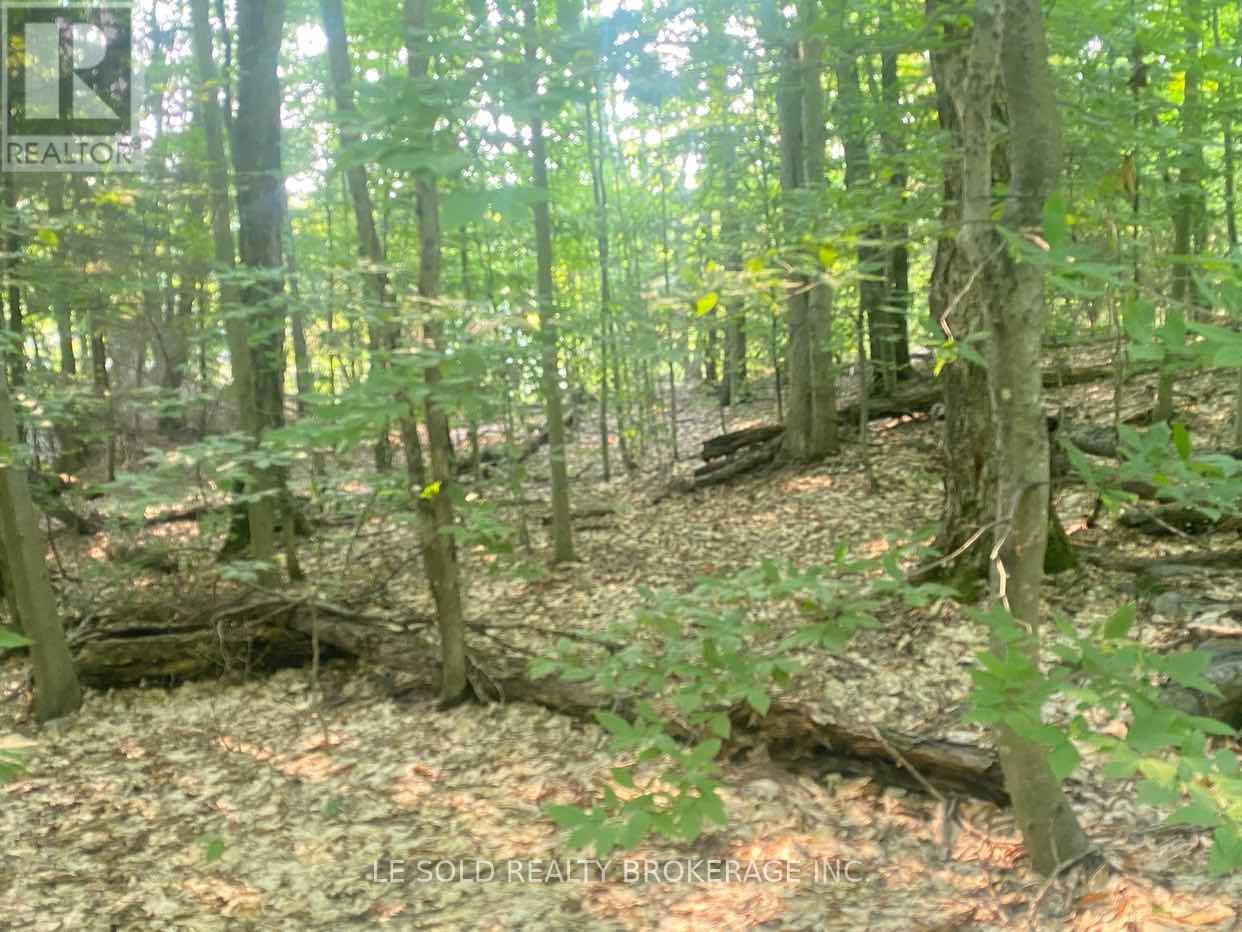 Lot # 7 - 1310 Camel Lake Road Property Photo 7