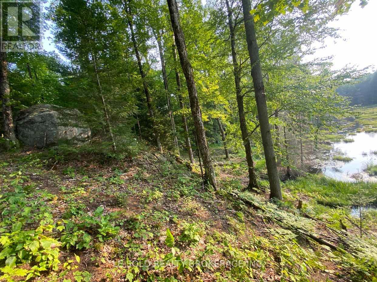 Lot # 7 - 1310 Camel Lake Road Property Photo 8
