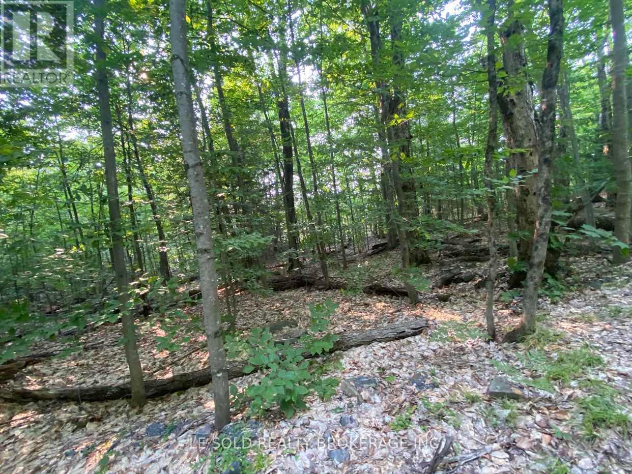 Lot # 7 - 1310 Camel Lake Road Property Photo 9