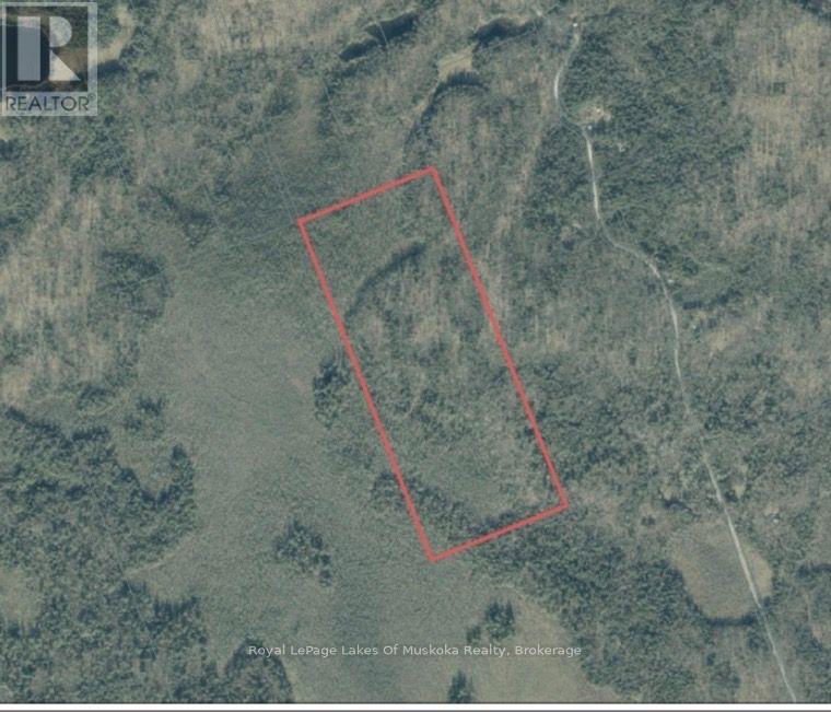 0 Axe Lake Road Property Photo 5