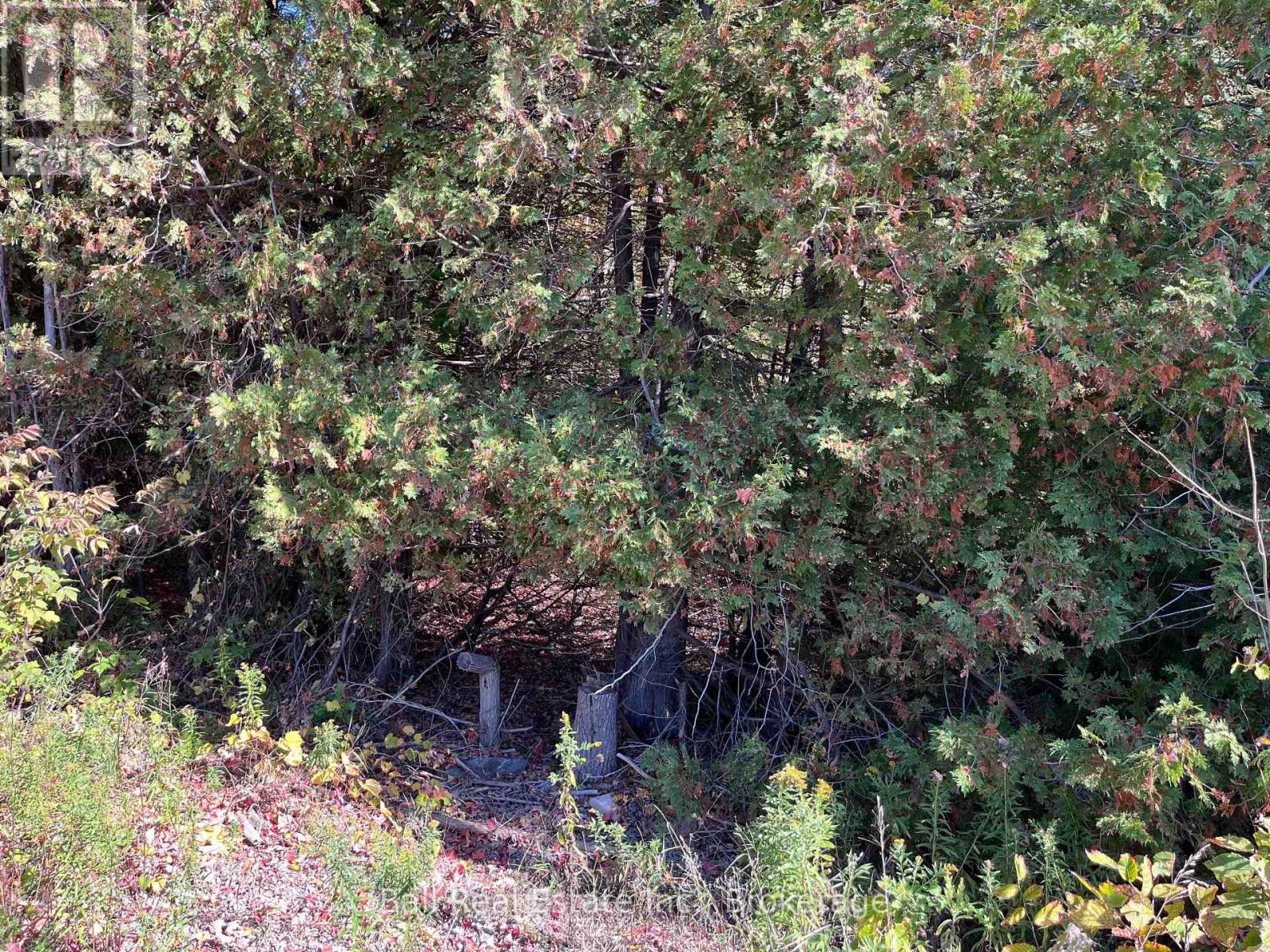 0 Koa Road Property Photo 2