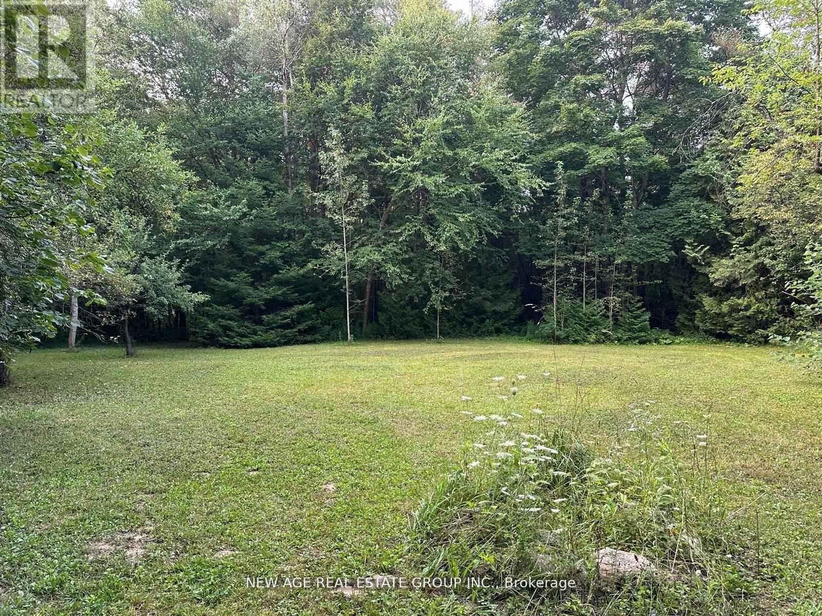 9031 Sideroad 17 Property Photo 16
