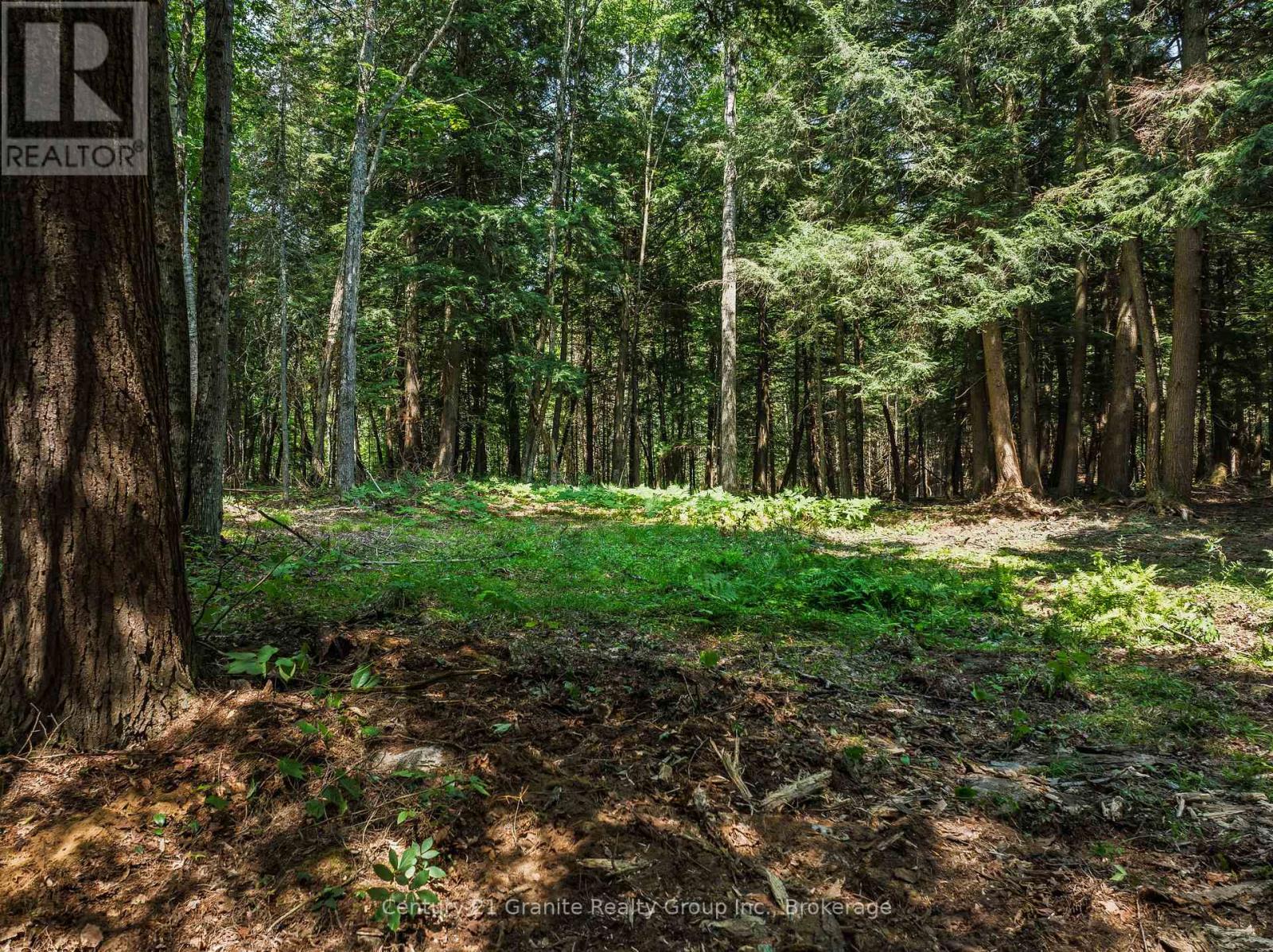 0 Soyers Lake Road Property Photo 6