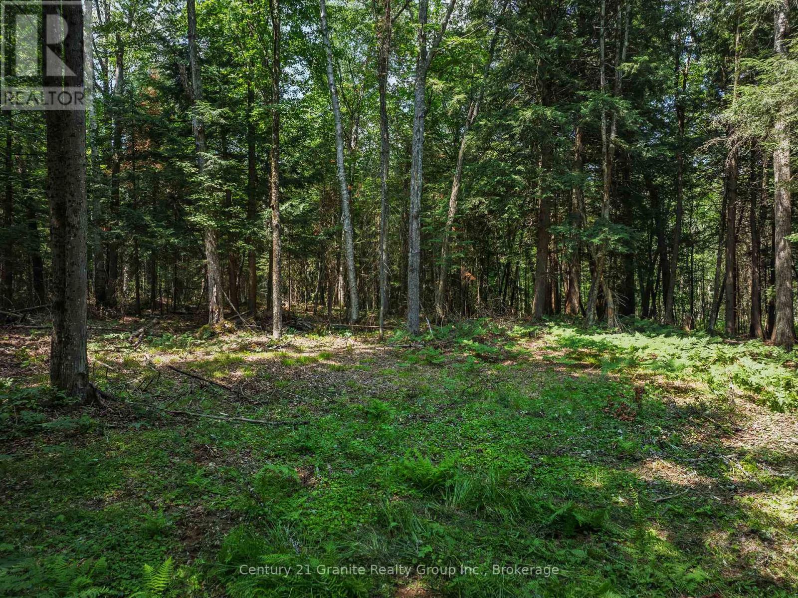 0 Soyers Lake Road Property Photo 7