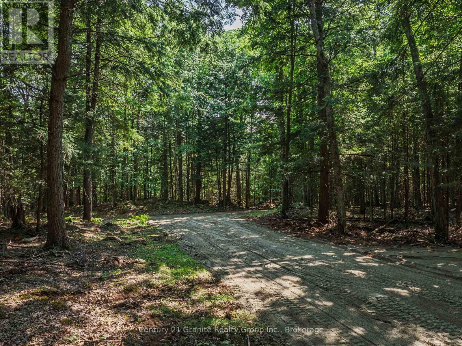 0 Soyers Lake Road Property Photo 11