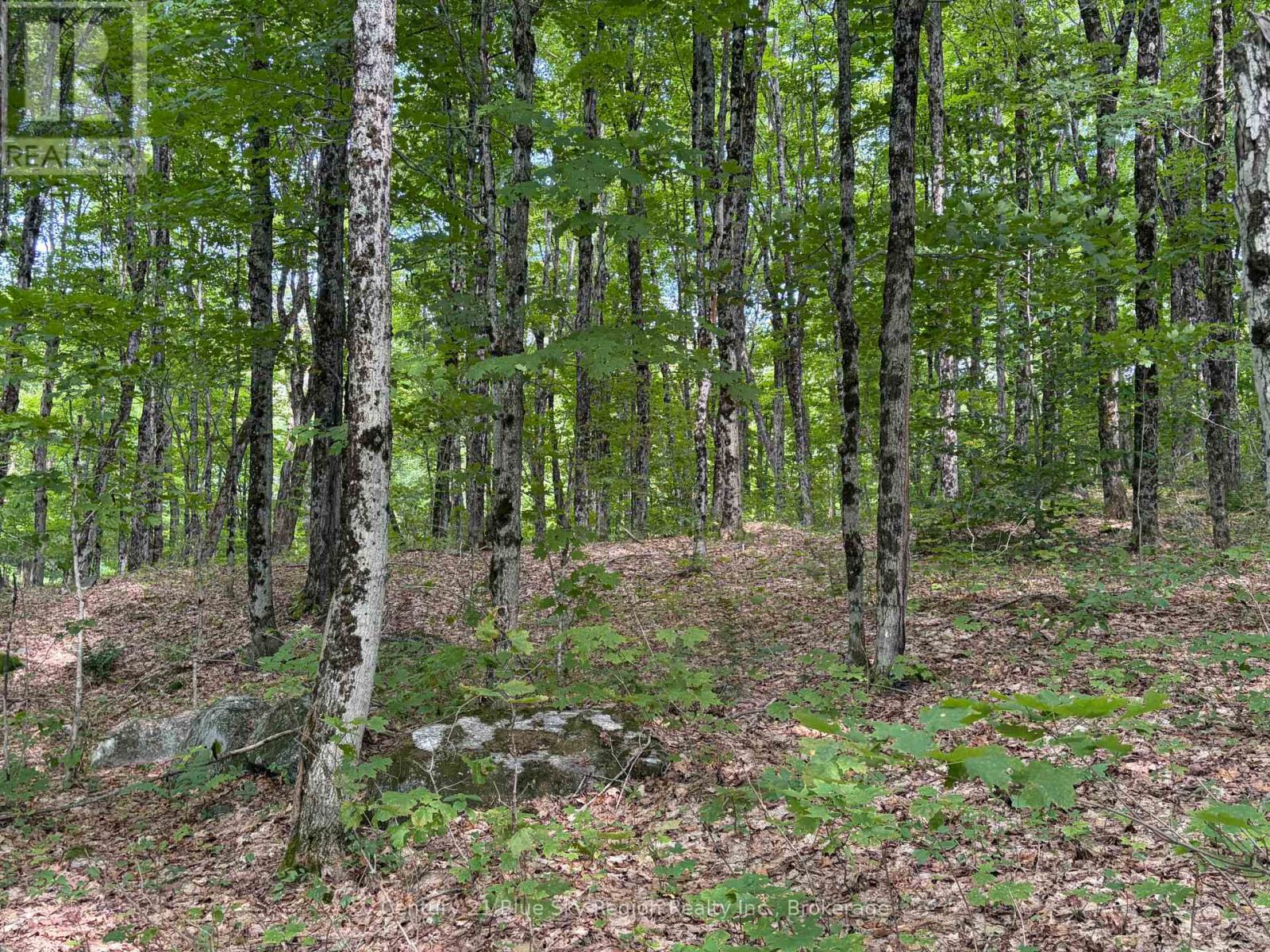 Part Lot 11 & 12 Chikopi Road Property Photo 1
