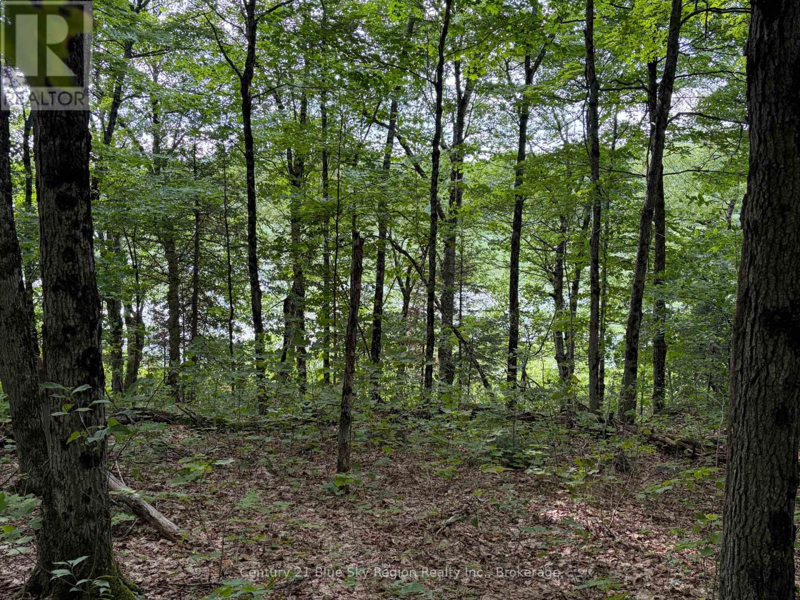 Part Lot 11 & 12 Chikopi Road Property Photo 2