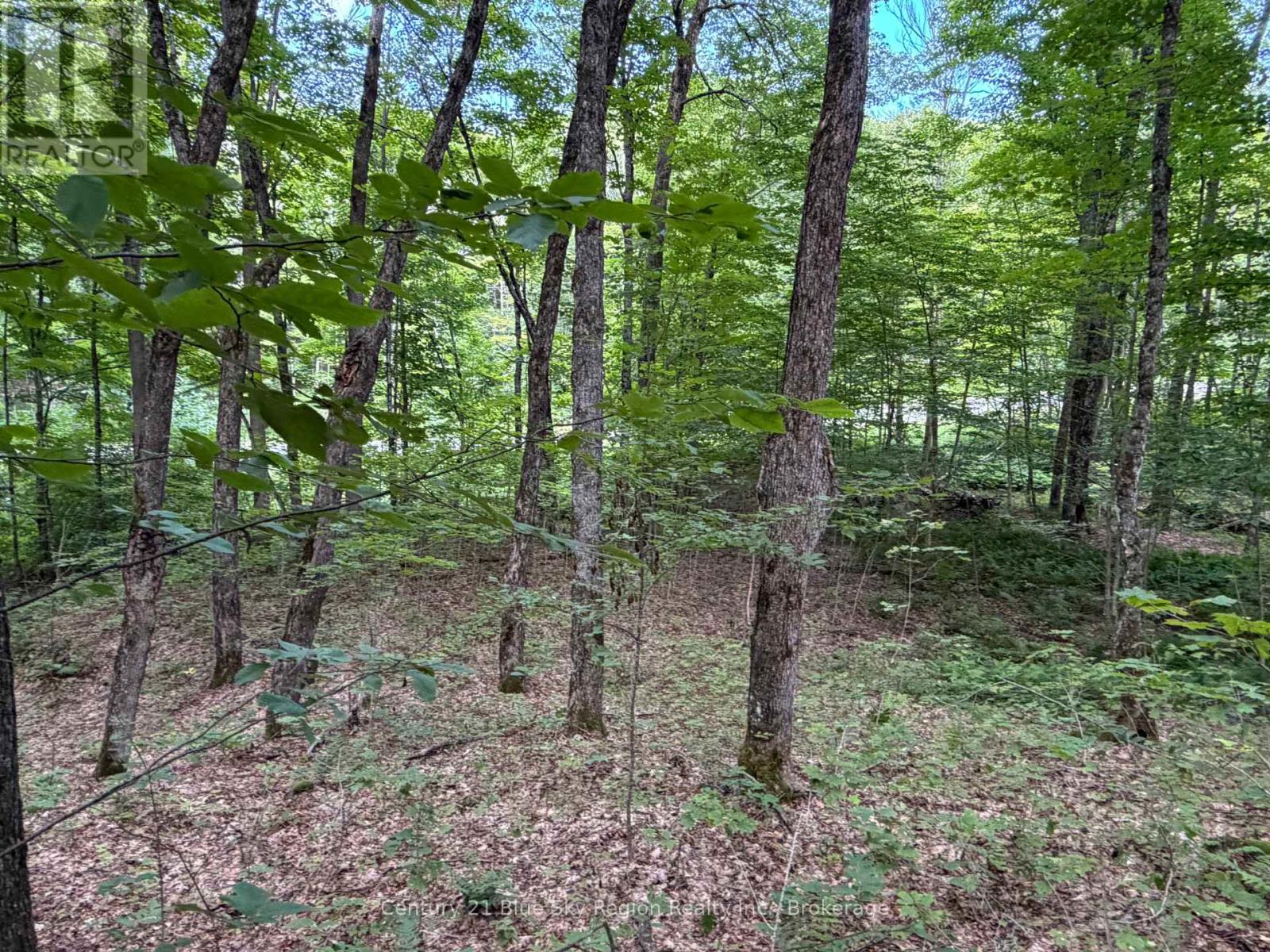 Part Lot 11 & 12 Chikopi Road Property Photo 8