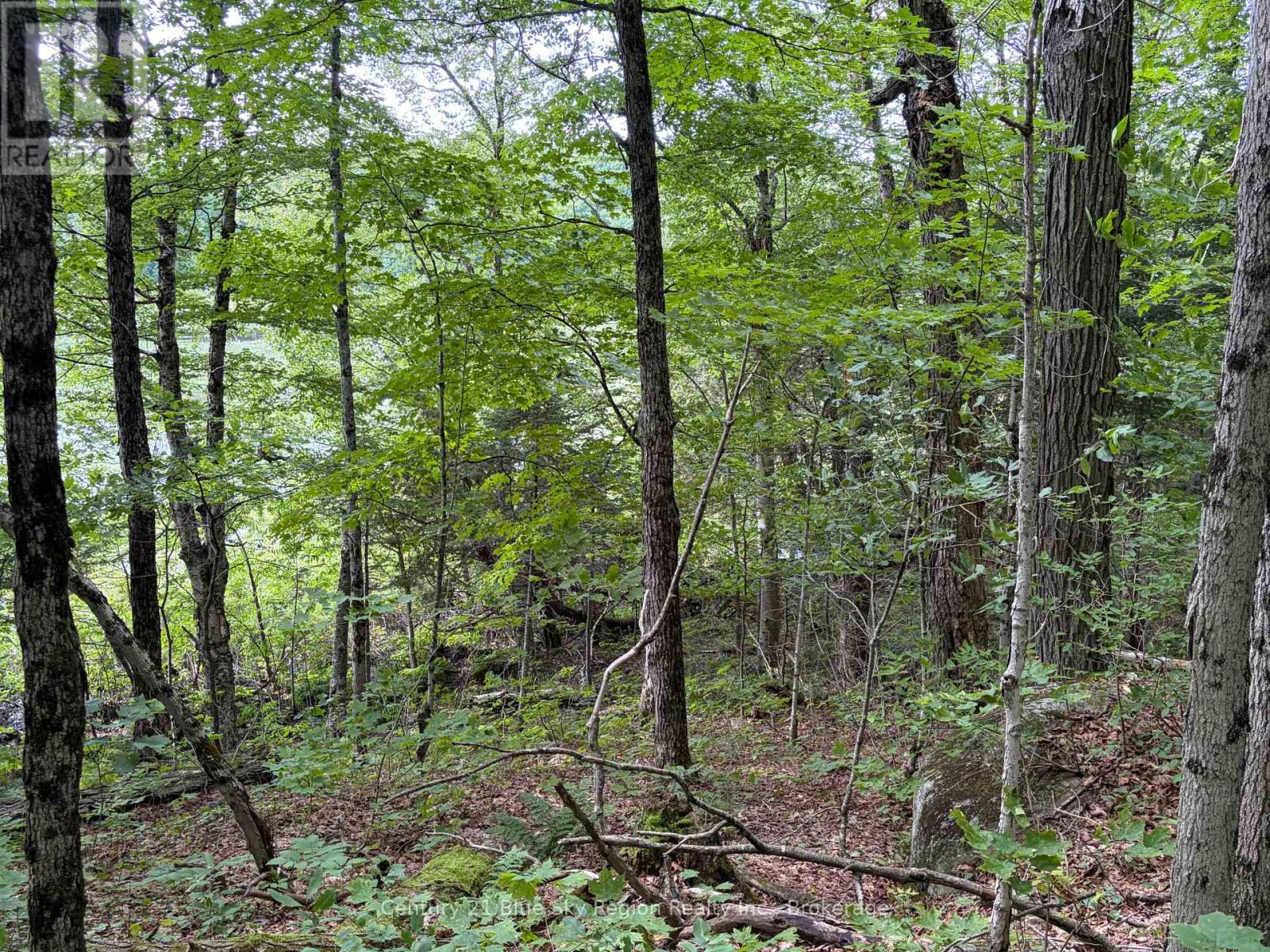 Part Lot 11 & 12 Chikopi Road Property Photo 9