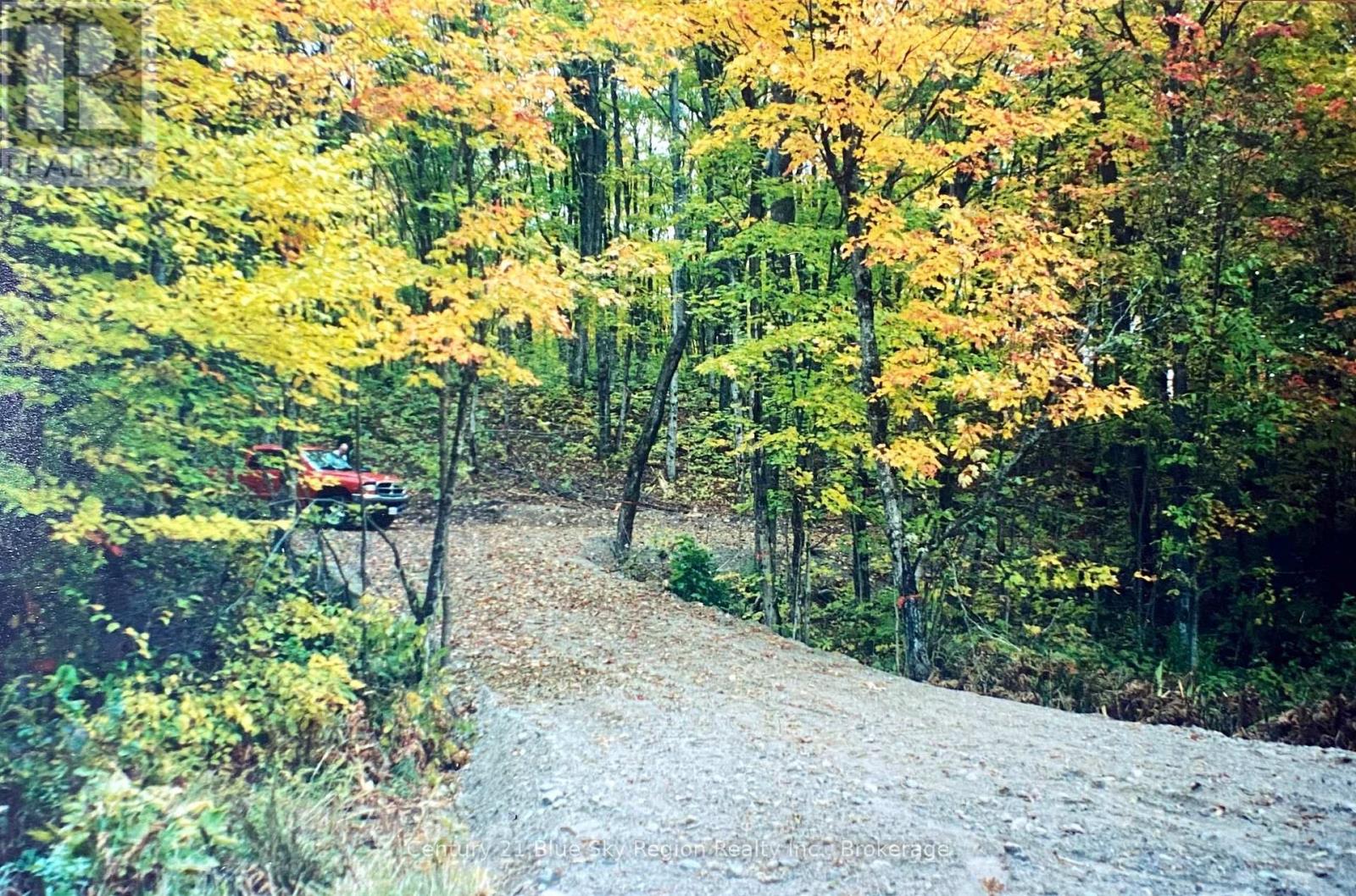 Part Lot 11 & 12 Chikopi Road Property Photo 11
