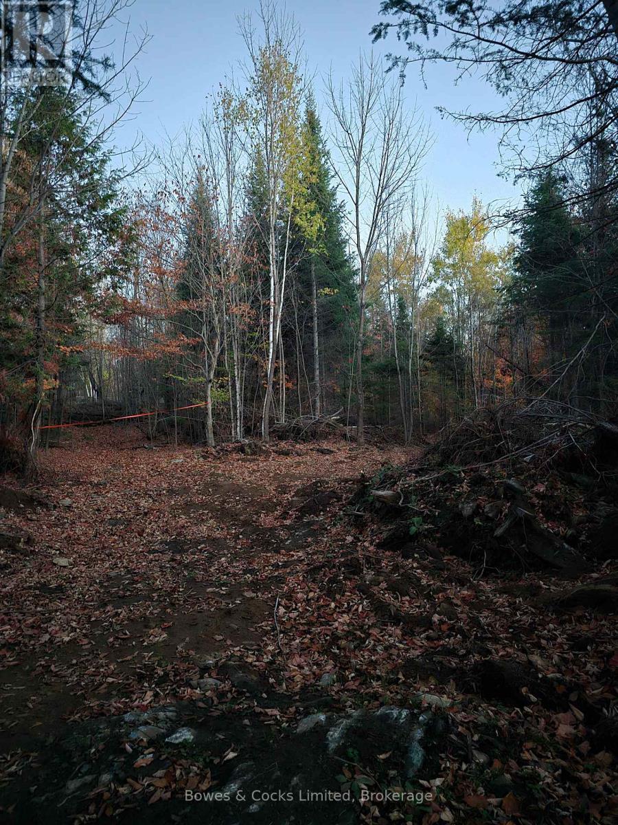 42 Clear Lake Court Property Photo 26