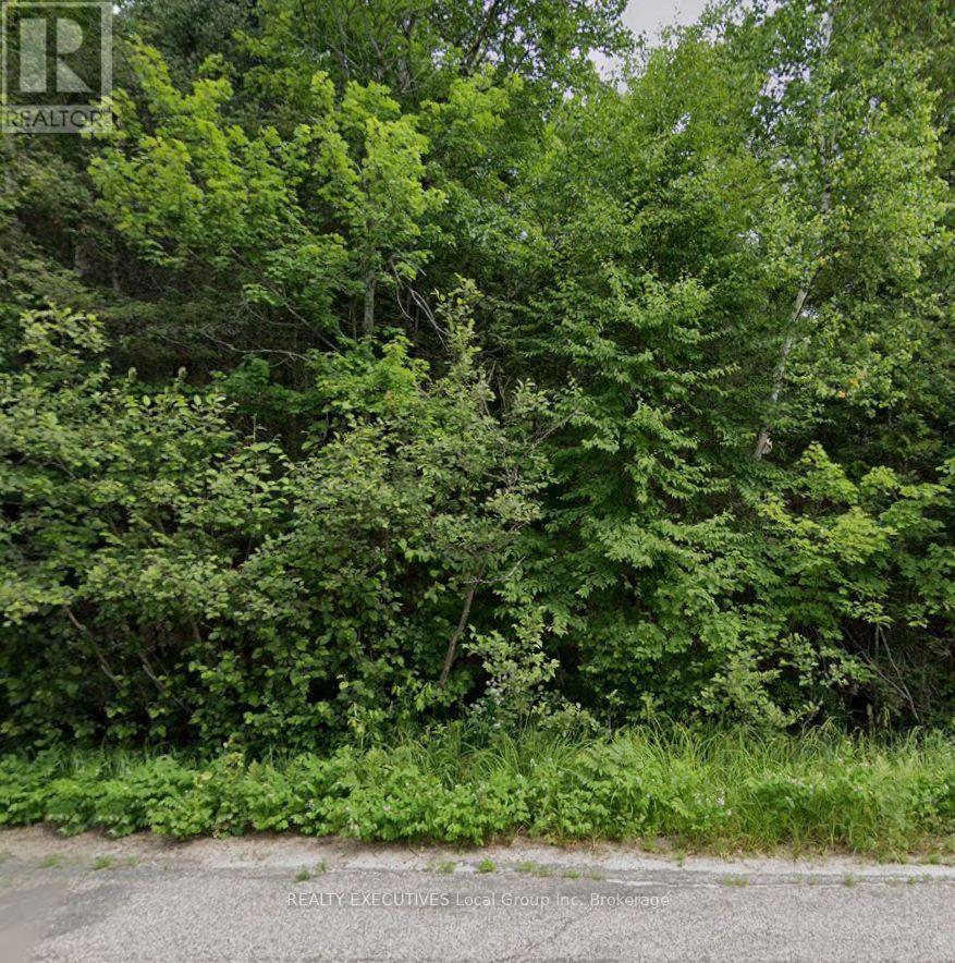 Lot 2 Widdifield Station Road Property Photo 3