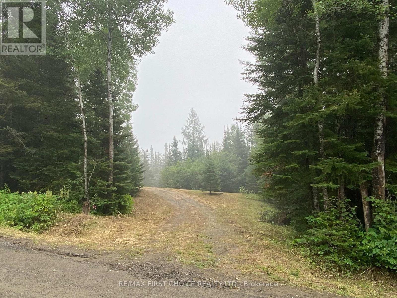 0 Townline Road Property Photo 3