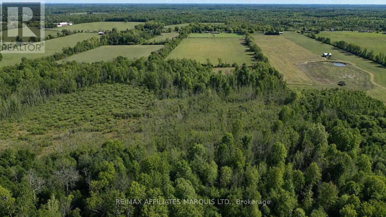 7788 County Rd 21 Road Property Photo 38