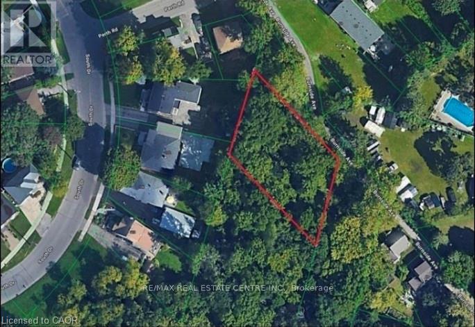 45 Burnside Avenue Property Photo 7
