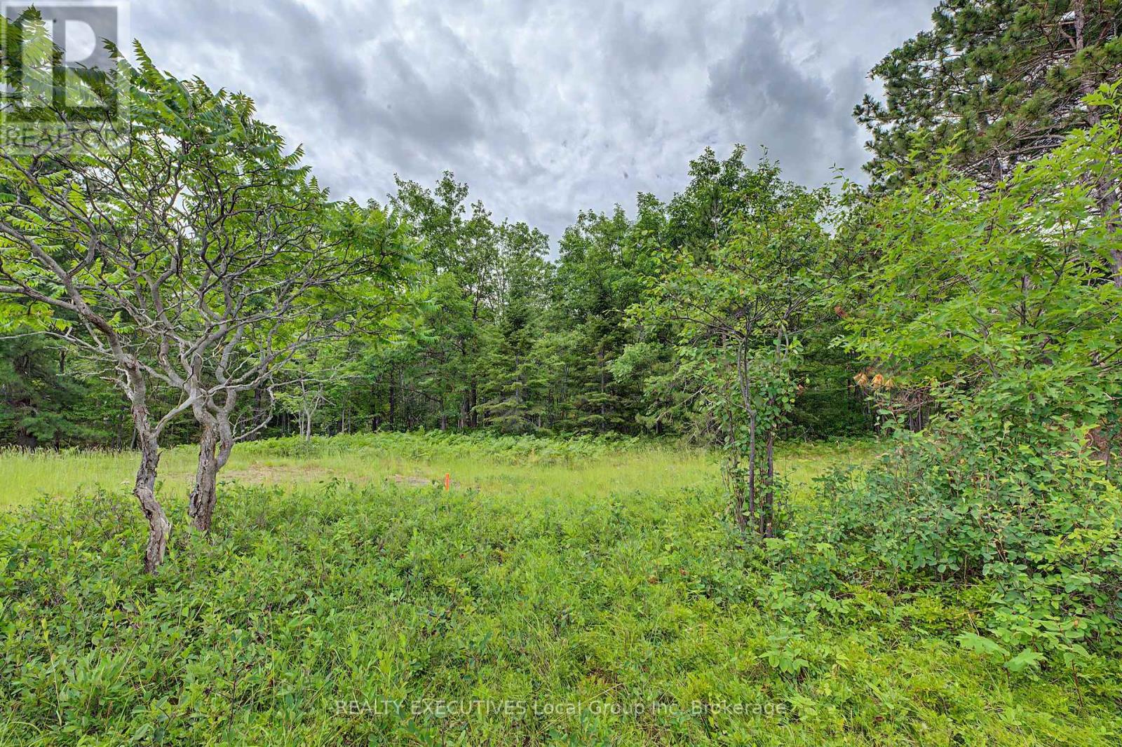 672 Tillicum Bay Road Property Photo 11