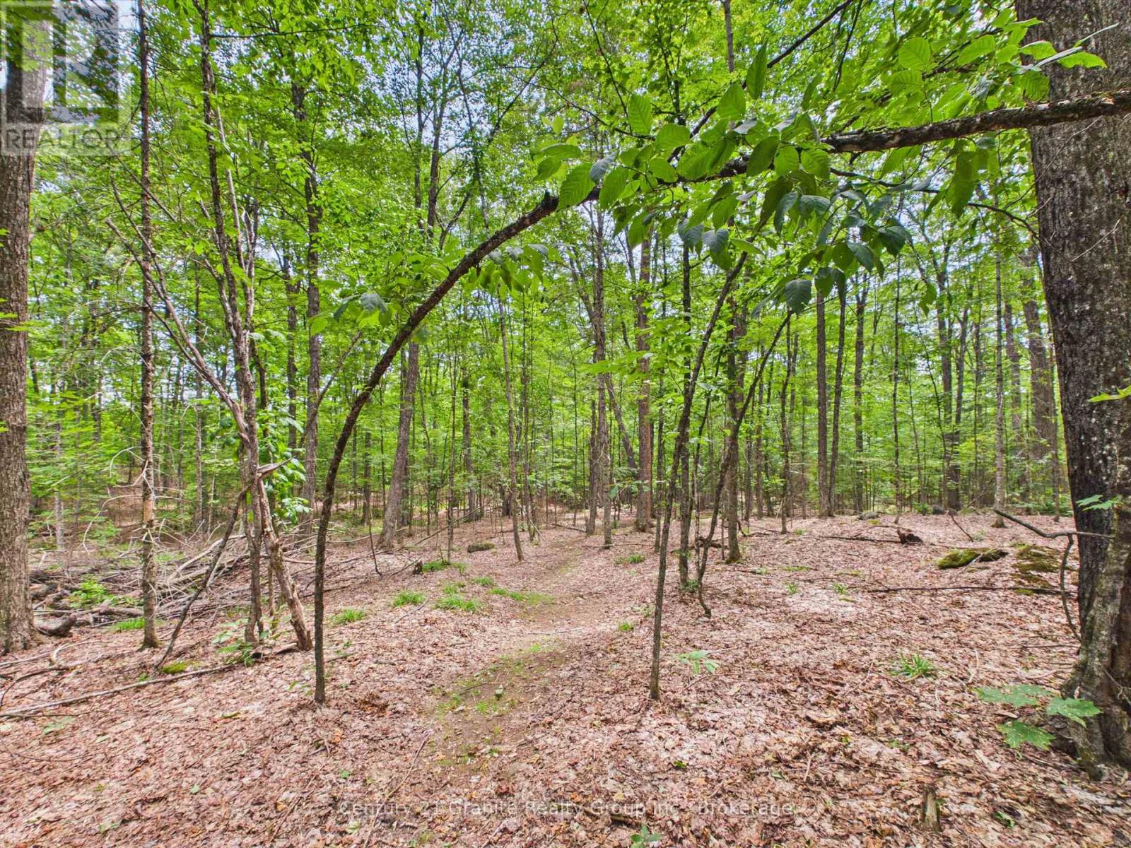 000 South Lake Road Property Photo 15