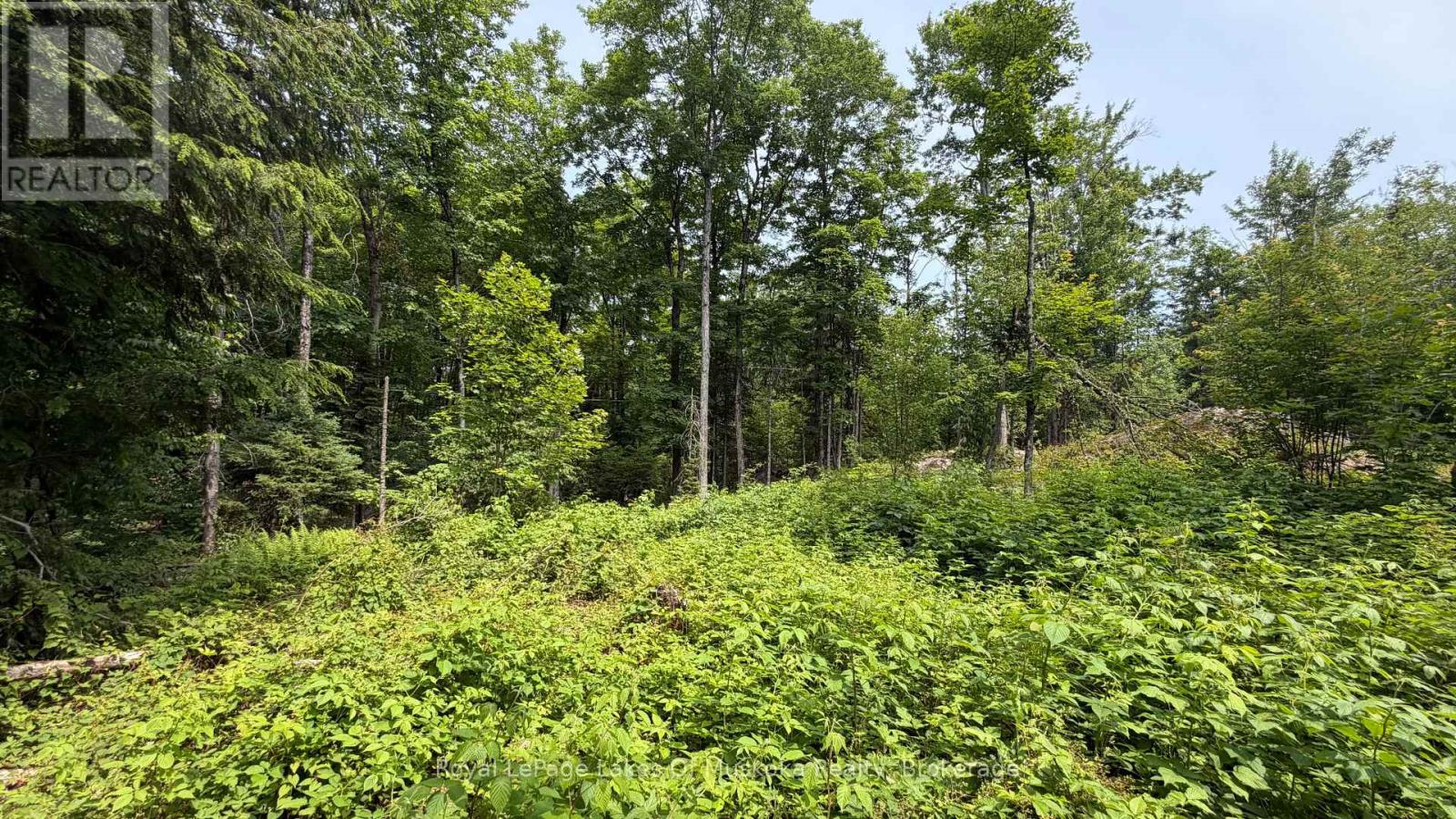 0 Matthiasville Road Property Photo 3