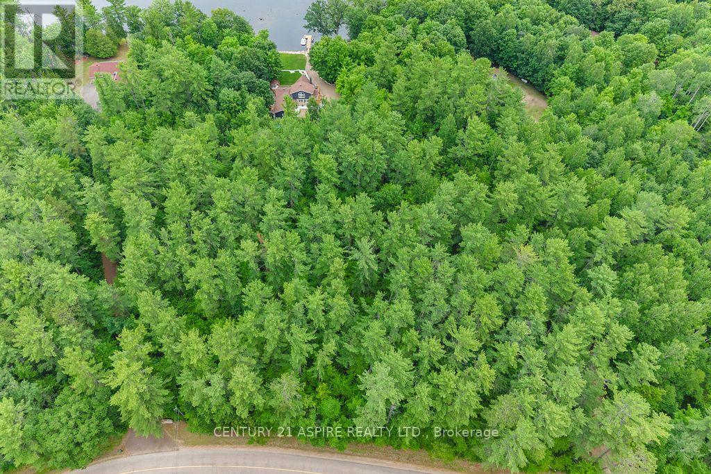 978 Rantz Road Property Photo 49