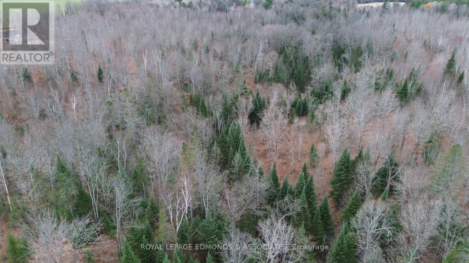 710 Westmeath Road Property Photo 16