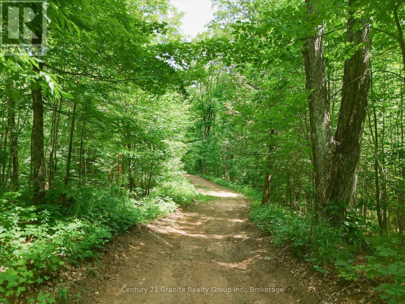 1230 Old Donald Road Property Photo 1
