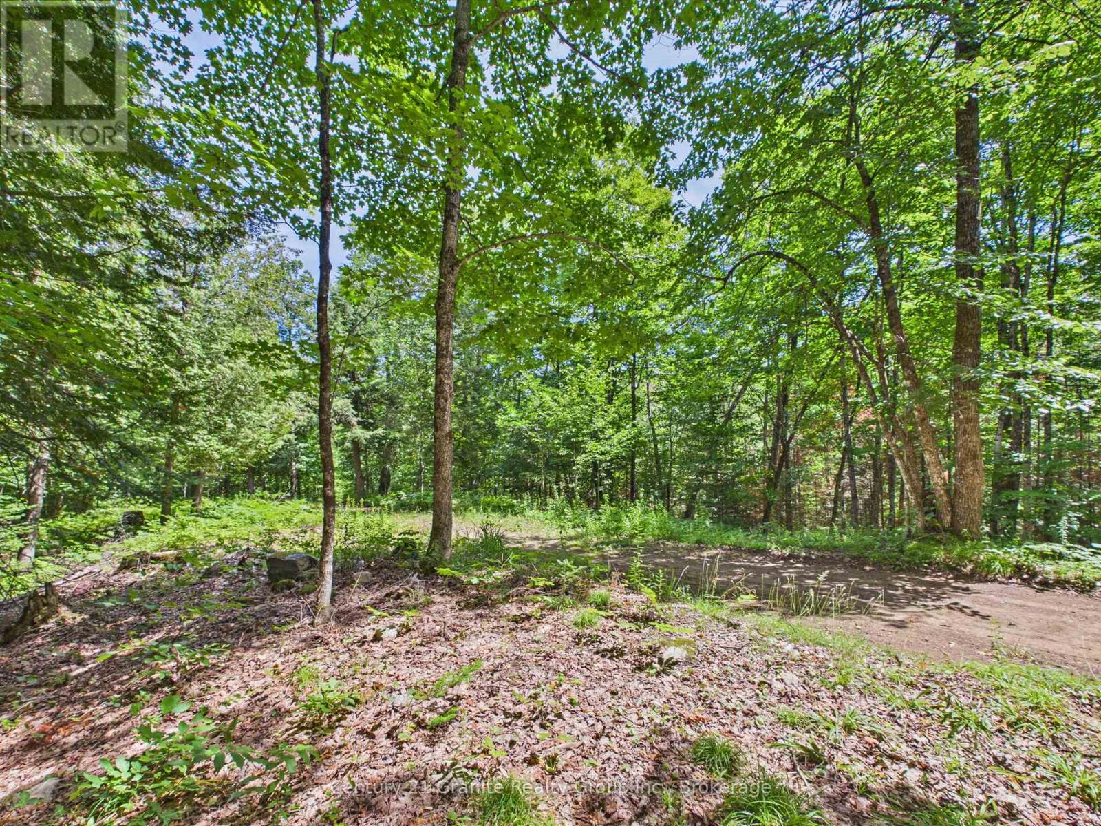 1230 Old Donald Road Property Photo 3