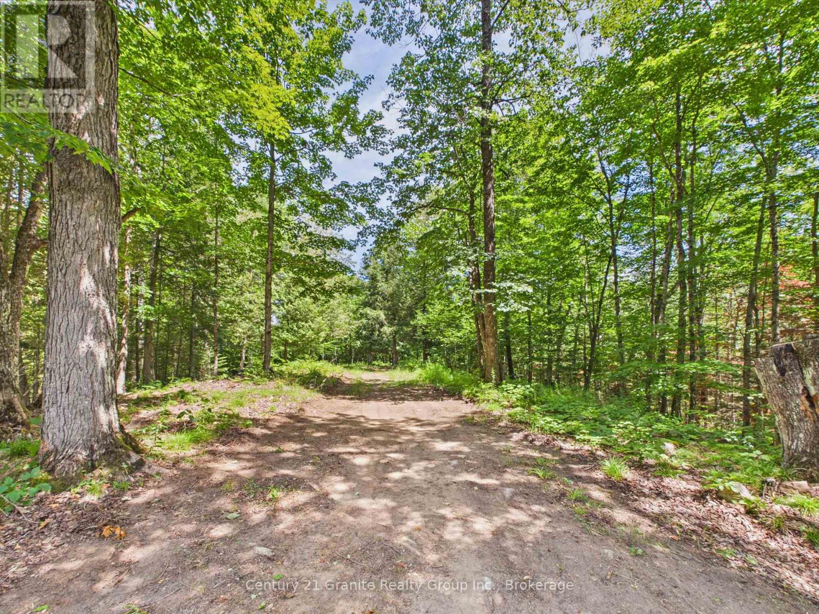 1230 Old Donald Road Property Photo 5