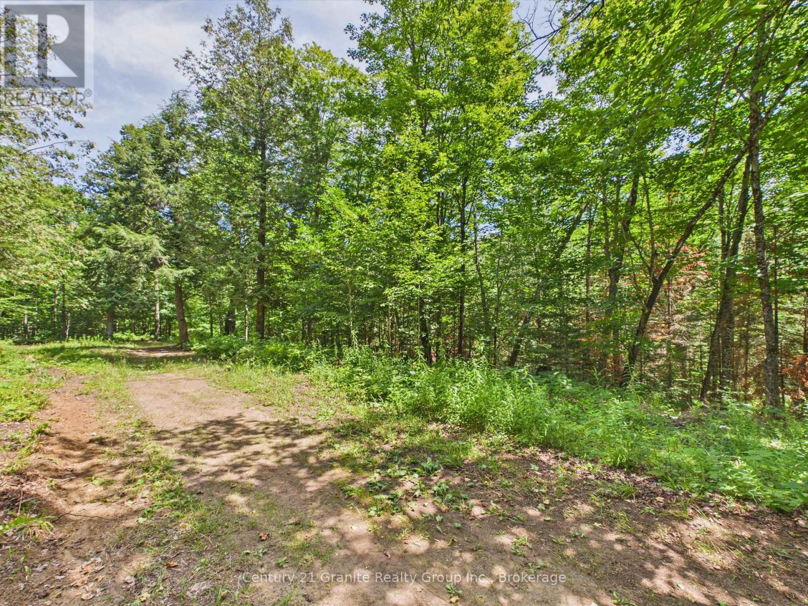 1230 Old Donald Road Property Photo 6
