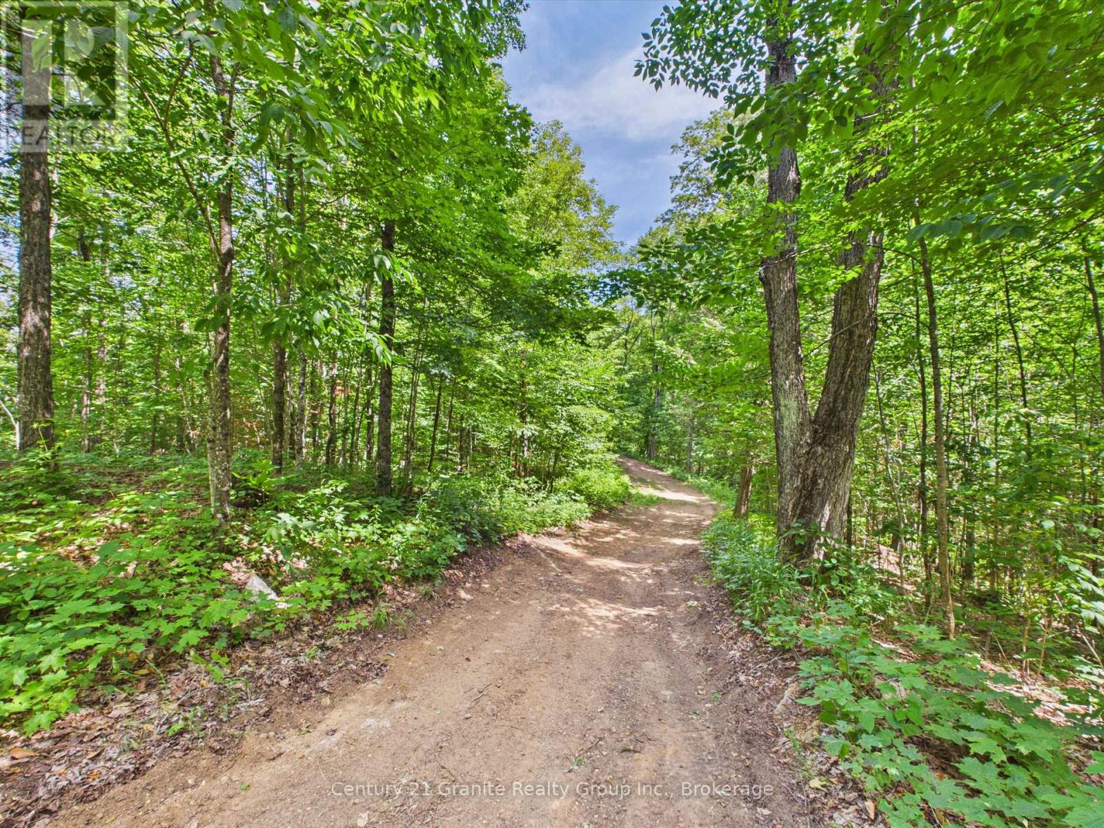 1230 Old Donald Road Property Photo 7