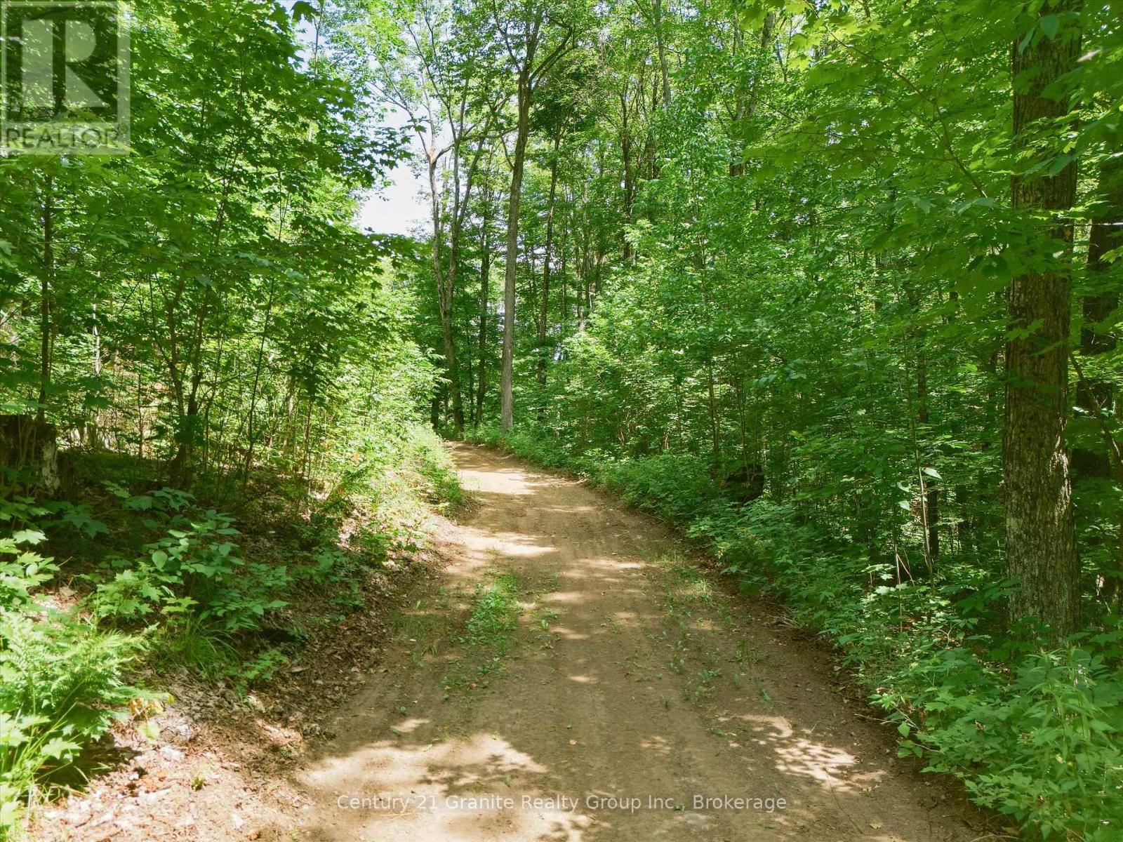 1230 Old Donald Road Property Photo 8