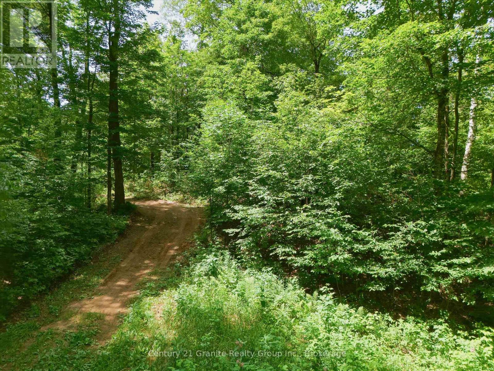 1230 Old Donald Road Property Photo 9